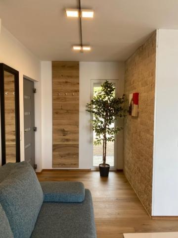 Villa Od Moore Starigrad Zewnętrze zdjęcie
